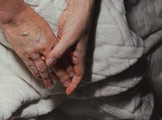 Photo "How to wash a bedridden person? See practical tips for caregivers"